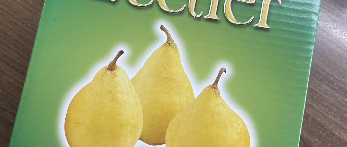 【親和あんこ娘】勉強会と洋梨。