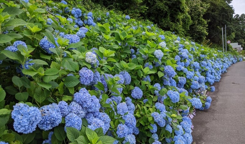 【即入居可】２DKではじめる快適一人暮らし