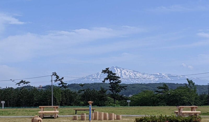 【2月中旬空き予定】防災公園ナイスアリーナ近く☆２DK