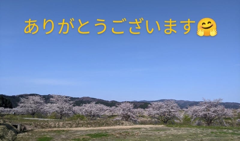 【お知らせ】お申込みいただきました！（チェリーパレス　満室です）