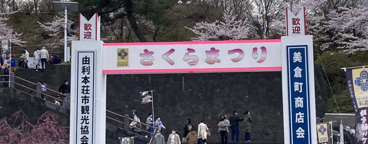 【あや吉の休日】本荘さくらまつり