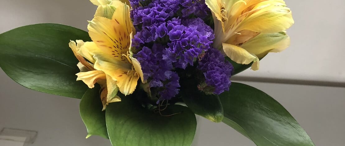 【親和の学生寮】花のある暮らし～こんちゃん新作