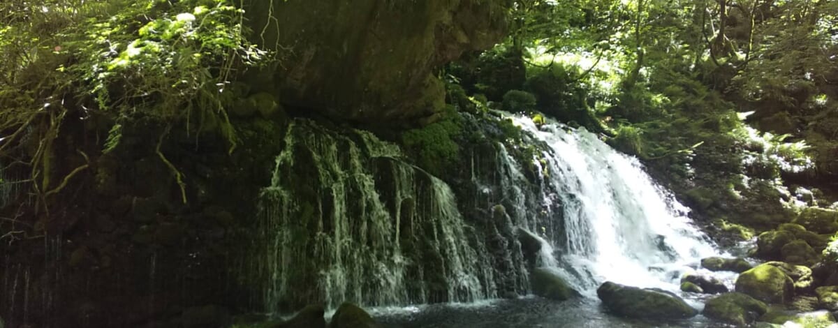 【おーちゃんの休日】元滝伏流水