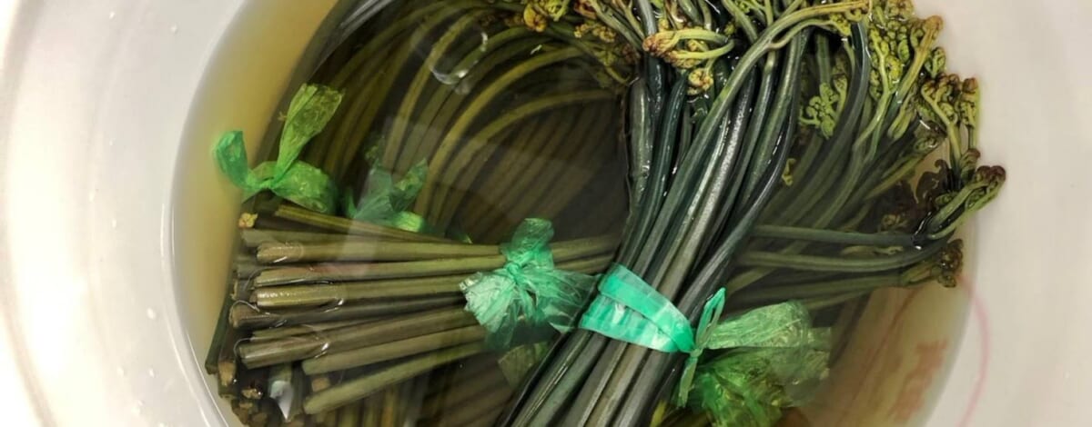 【親和の学生寮】今日の晩ごはん☆山菜わらび登場♪