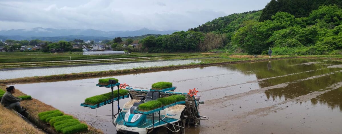 【親和の学生寮】寮母さっちょん、田植えに突撃！