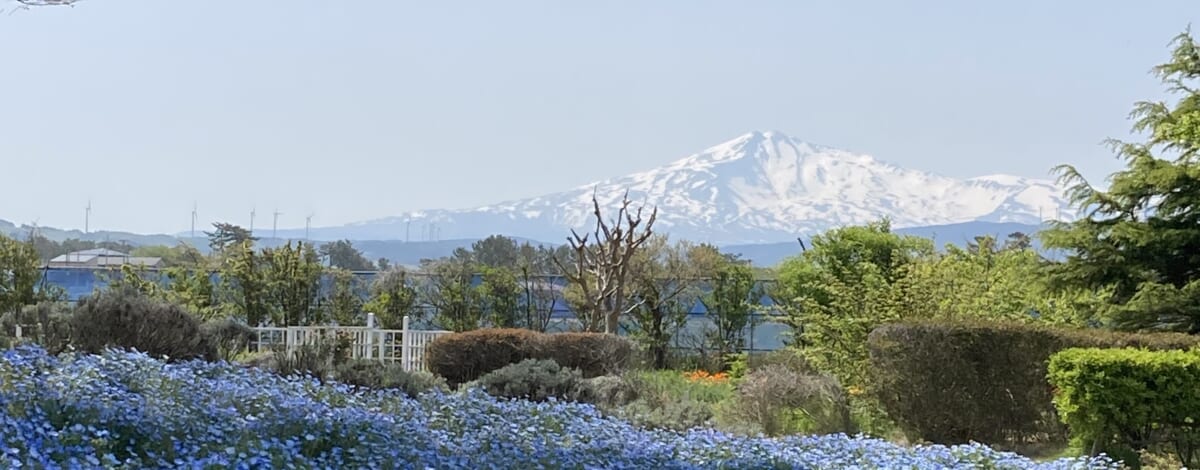 ハーブワールドで過ごす休日。