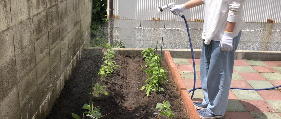 【親和の学生寮】寮母さっちょん農園、拡大中～