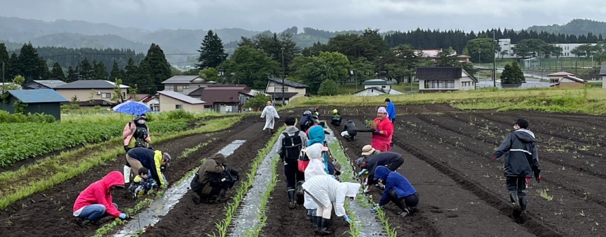 【あや吉の休日】末っ子ちゃんと農業体験♪
