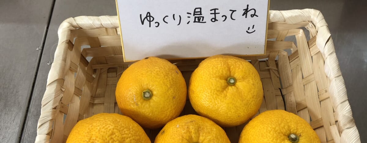 【親和の学生寮】今日は冬至です