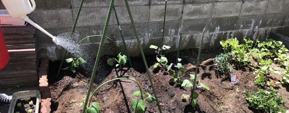 寮母さっちょん農園、はじまるよ！